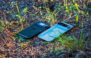 Google's Earth Day 2025 Doodle طرف های زیادی از سیاره بزرگ آبی ما را نشان می دهد