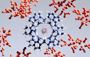 کشف جدید: یه مولکول طبیعی ممکنه به پاکسازی تودههای پروتئینی آلزایمر کمک کنه کشف جدید: یه مولکول طبیعی ممکنه به پاکسازی تودههای پروتئینی آلزایمر کمک کنه